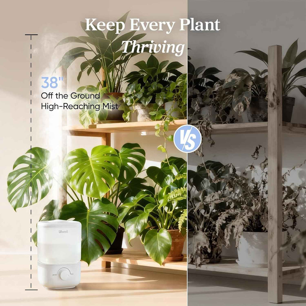 LEVOIT Top Fill Humidifier for Blocked Nose, 2.5L Tank for Large Room, Quiet Cool Mist Air Humidifier for Home Baby Nursery & Plants, Easy to Fill & Clean, Auto Shut-off for Safety, 25H